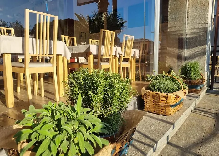 Aparthotel La Palma Marina dʼAndora