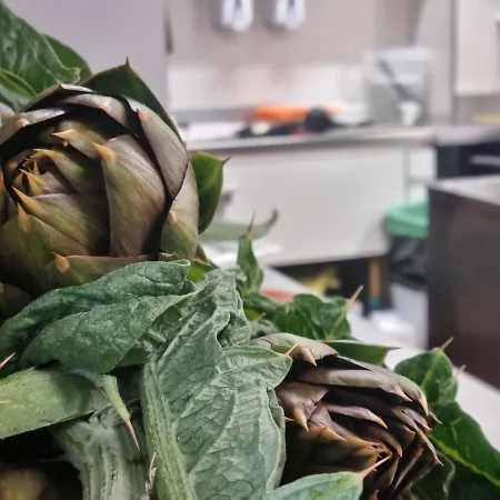 La Palma 3* Marina dʼAndora