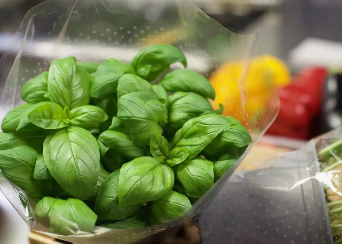 La Palma Marina dʼAndora